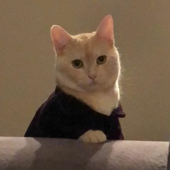 Slurpcat