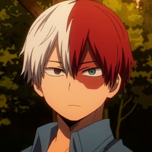 ❤️Shoto Todoroki🤍’s avatar