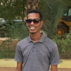 Ehab Eltigani