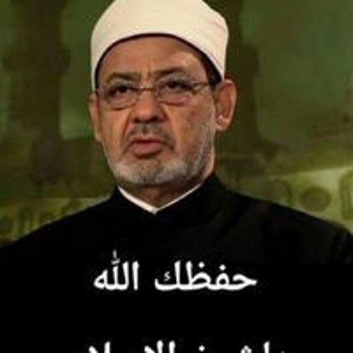 الفئه ابن مالك