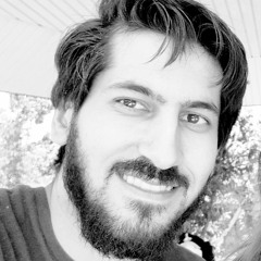 pedram.mirzaei