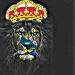 raad113