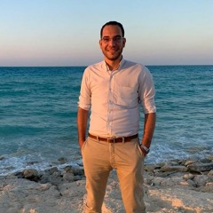 Mohamed Abd El-hakem