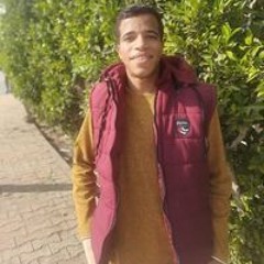 Ali Gaber