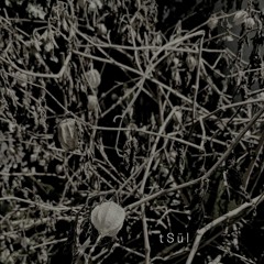 tSül