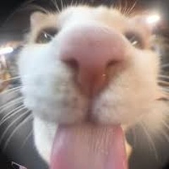 jeffizmyname