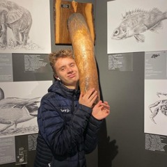 Superlollero Archive