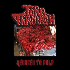 TORN THROUGH GOREGRIND