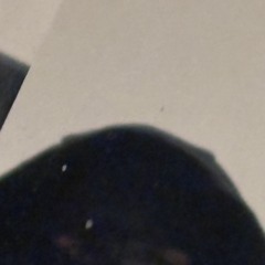 Vasco Sousa