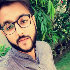 Muhammad Hamza
