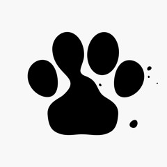Pup