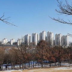 Choi Joseph