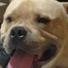 Santiago Mina