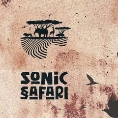 Sonic Safari