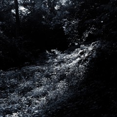 (Silence)