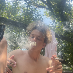 noel mnzlr