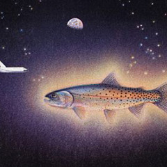 Trout