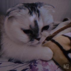 yumin