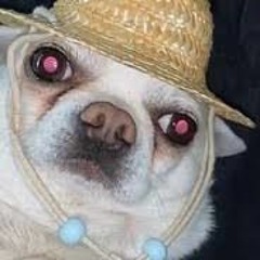 shydson