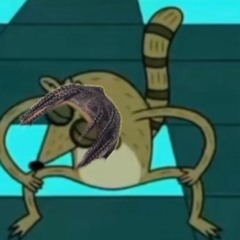 ŽXËØN