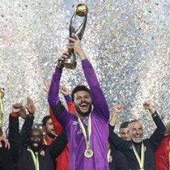 Mohamed ELsehely