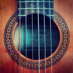 100% Fake Records ©️