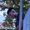 M. Syarsasi
