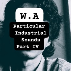 W.A (Particular Industrial Sounds Part IV)