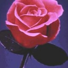 tainted.red