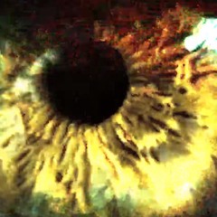 Freezedriedpercs(ARCHIVE)