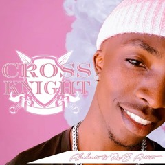 Cross Knight