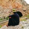 Ishaq M Hassani