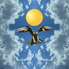 Henneything Is Possible