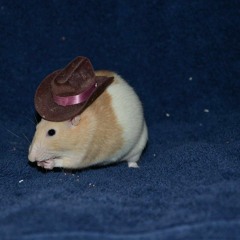 Slothio