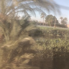 الفتاة التى تحاول