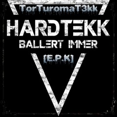 ⚡Torturomatekk⚡