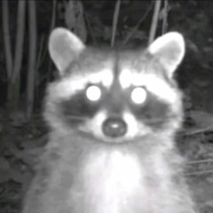 Ghastly