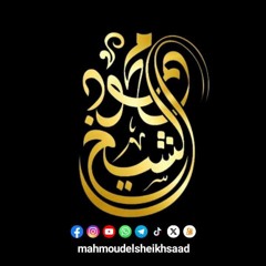 محمود الشيخ