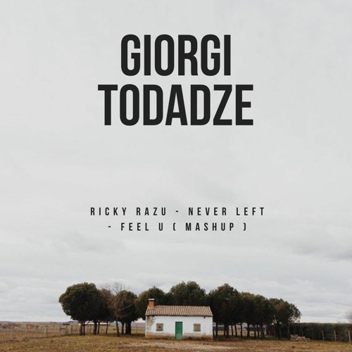 Giorgi Todadze’s avatar