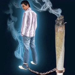 агимель магомедович