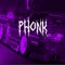 TT name:phonk059