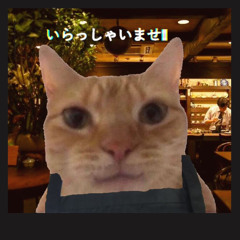バリスタ CAT