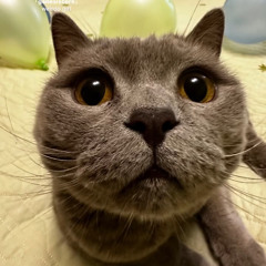 artemka