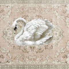 Fofa🦢
