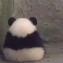 Bean_