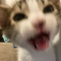 지민