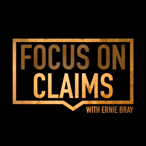 Focus on Claims - An interview with Richard Shamooilian and Alan Tzvika Nissel of AMPR Consulting