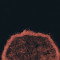 sol