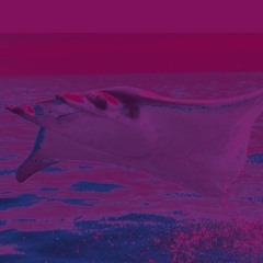 m 0 b u l a