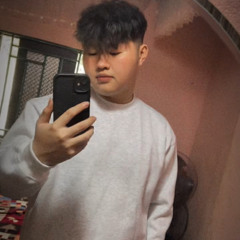 Mr vũ